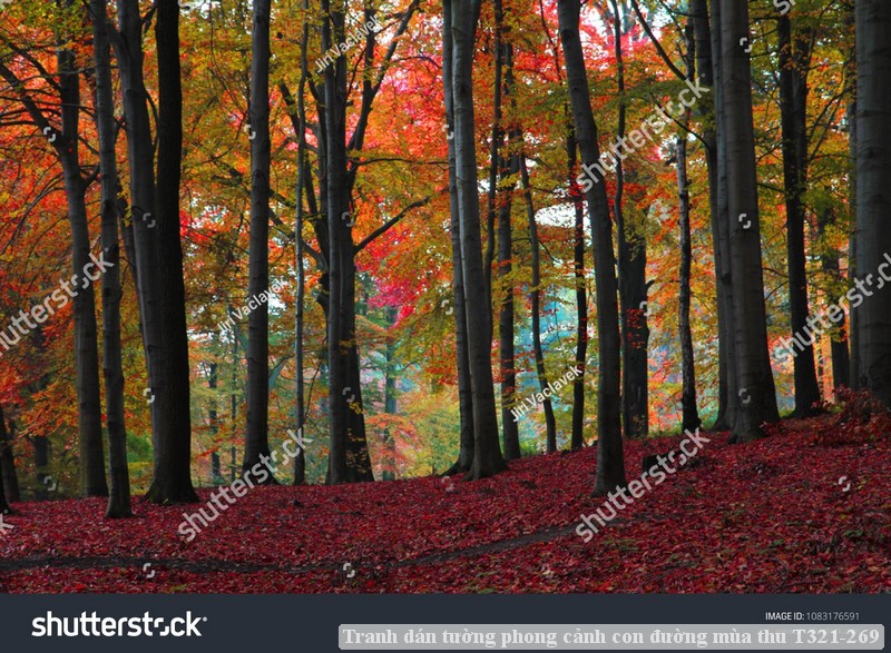 Tranh dán tường phong cảnh con đường mùa thu T321-269